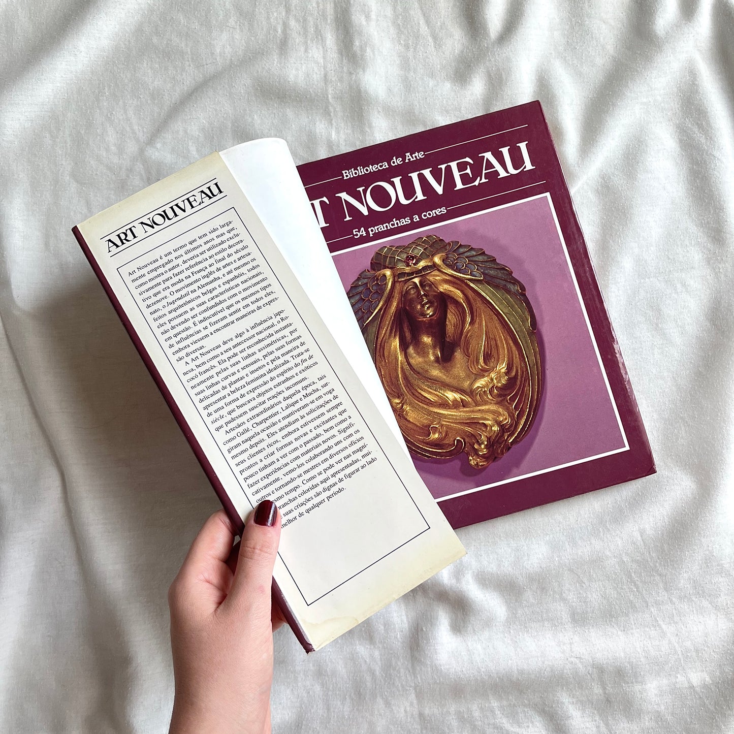 livro art nouveau