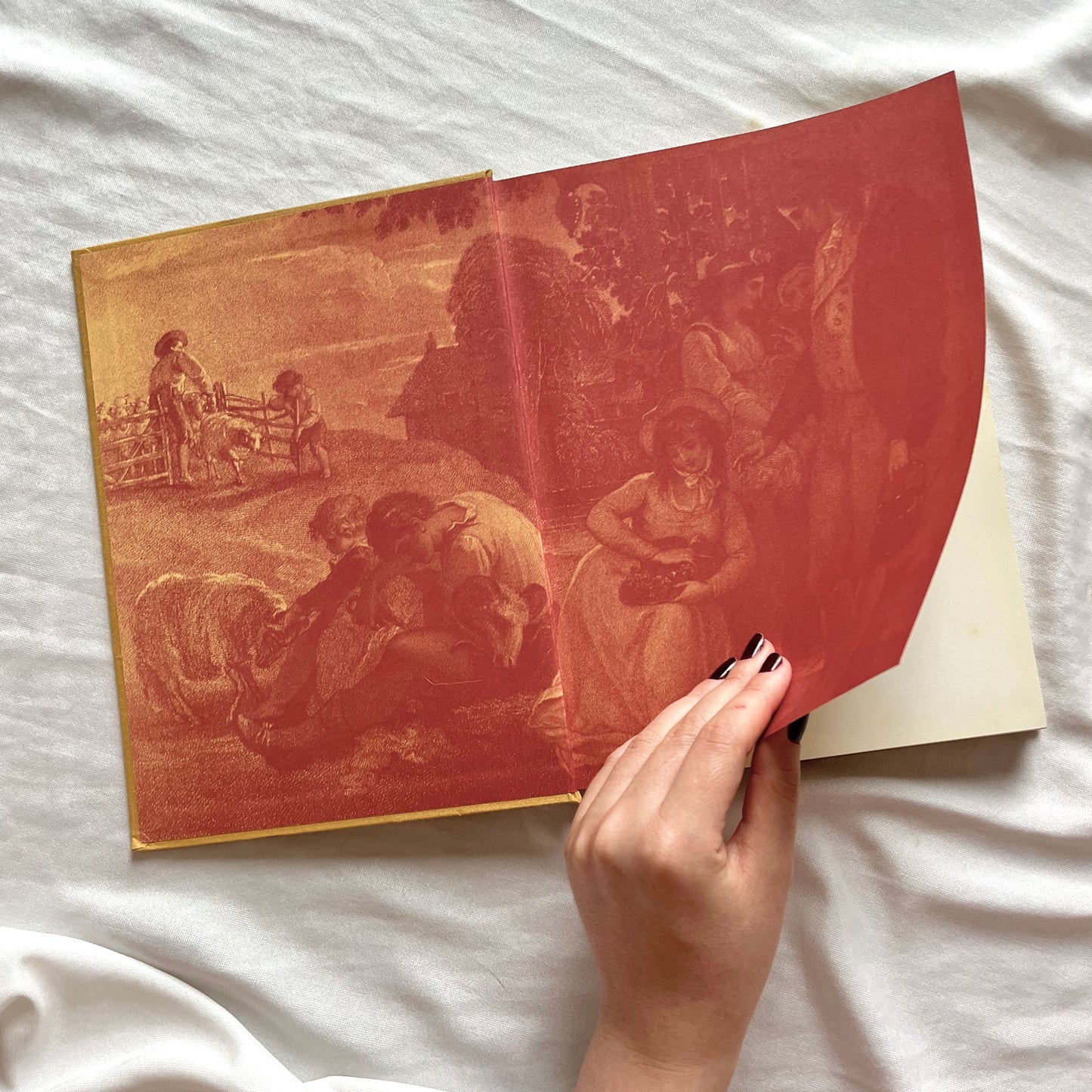 livro antiques at home