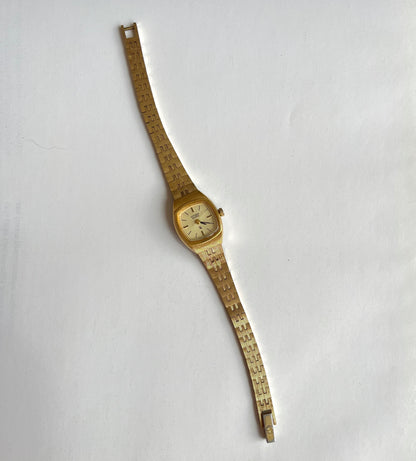 citizen V