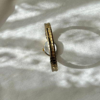 relógio timex II
