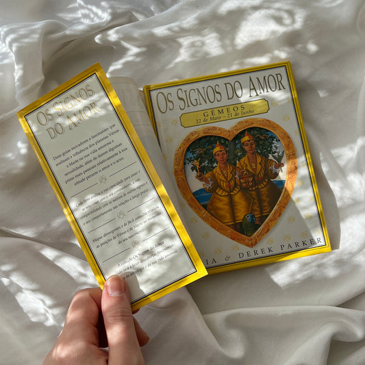 signos do amor gemêos