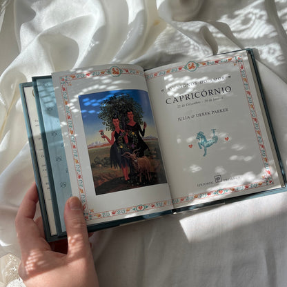 signos do amor capricórnio