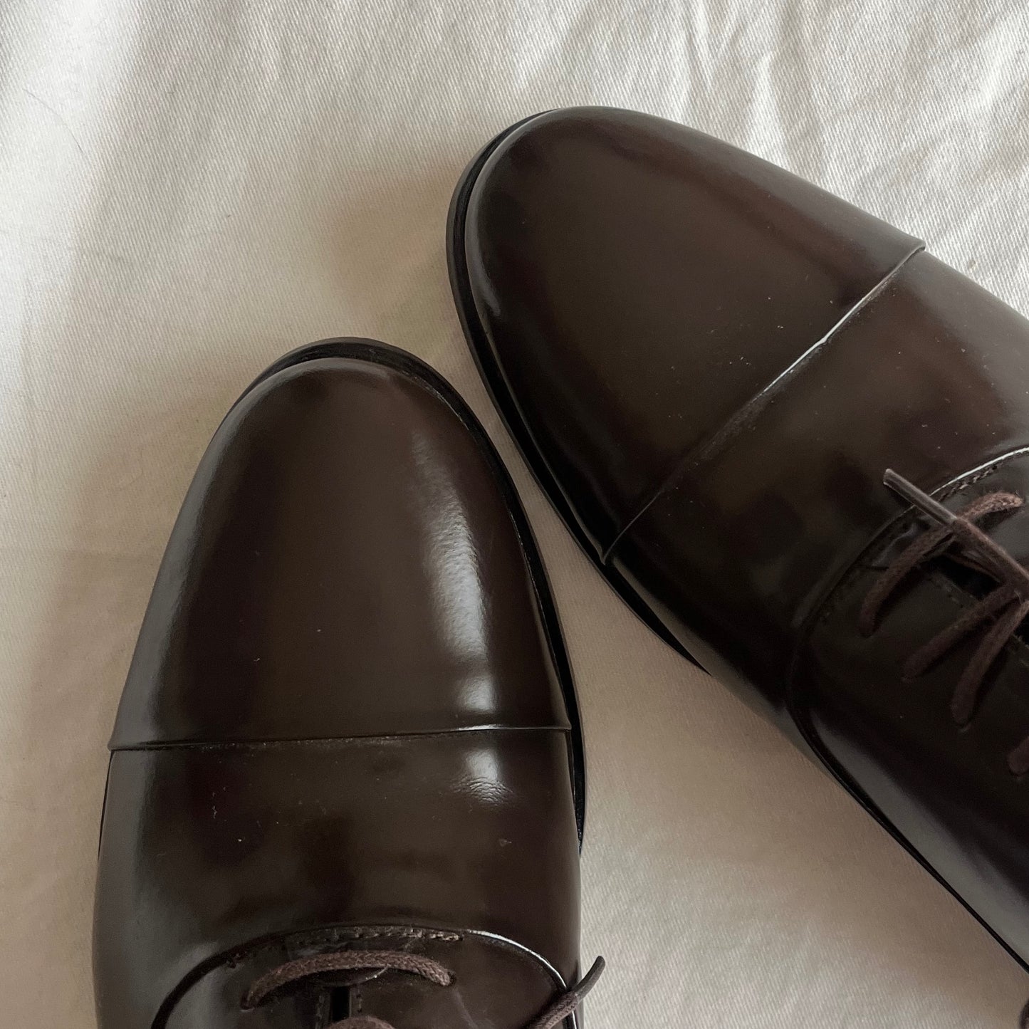 oxford feminino
