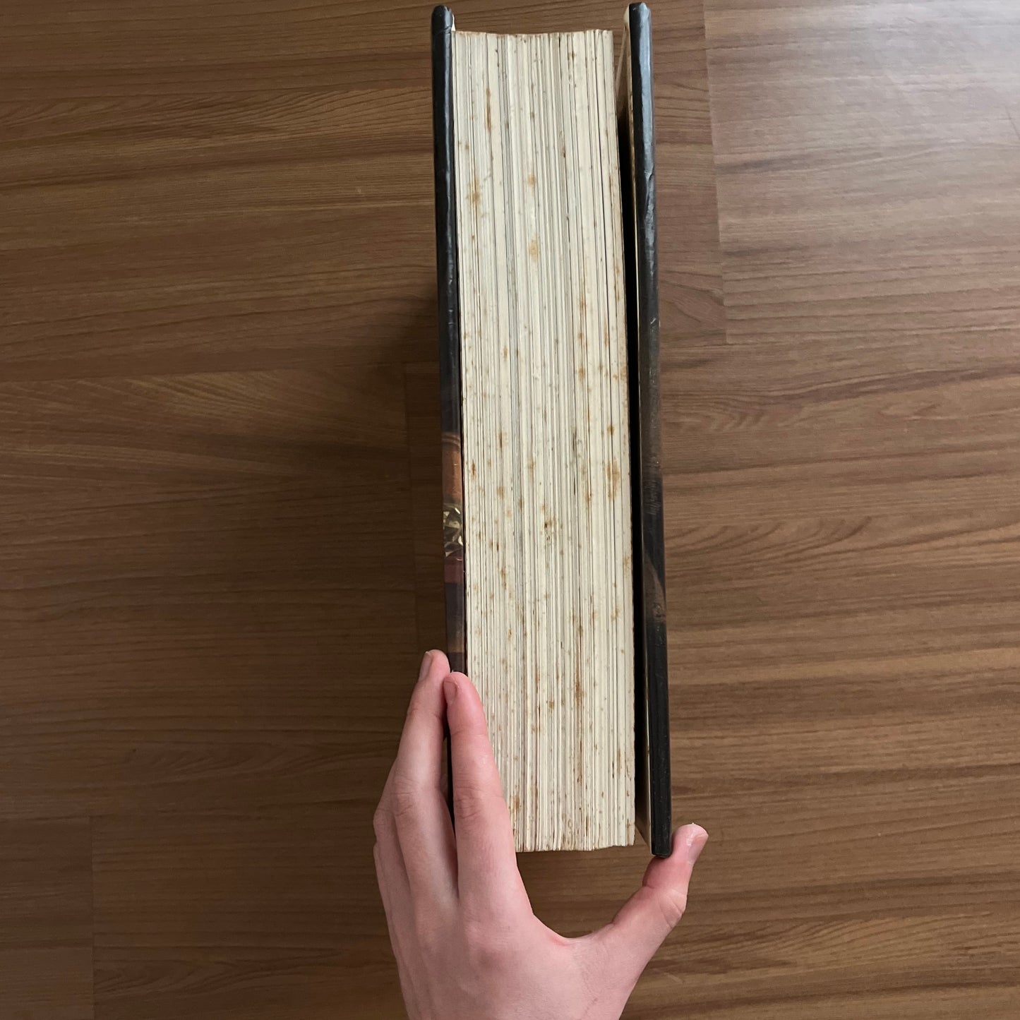 livro paintings in the hermitage